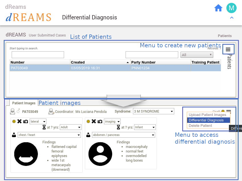 Labelled screenshot of Differential Diagnosis